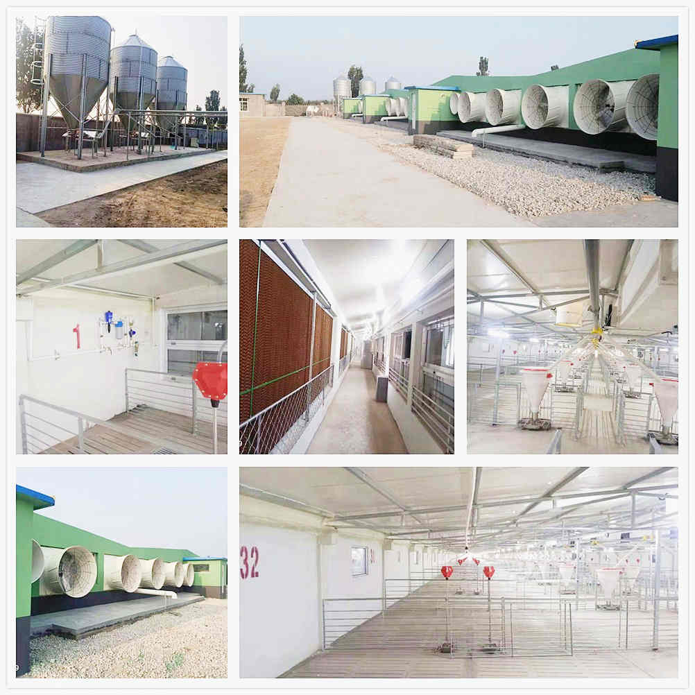 ɽ�|�R�������(xi��ng)Ŀ