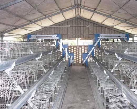 �S���ǂ�����ǧ�f�����S�����M(f��i)��